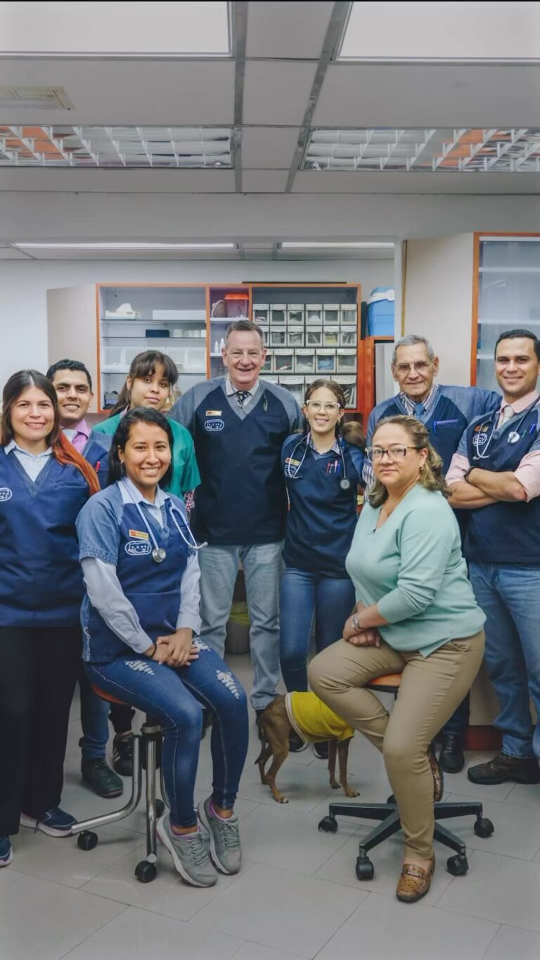 Instagram post from veterinariavuurman. This post is in position 4.